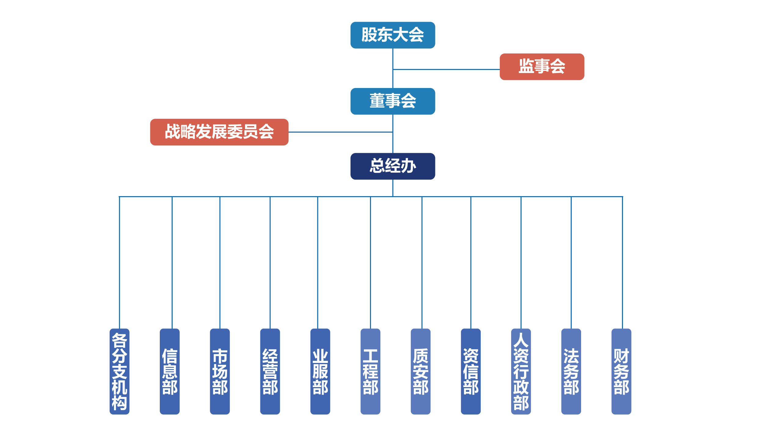 2024组织架构图-01